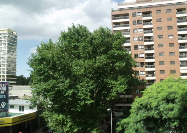 Alquiler Temporario Monoambiente, Paseo Colon 1100, San Telmo