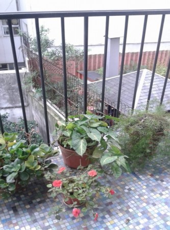 Alquiler Temporario 2 Ambientes, Malabia 2400, Palermo