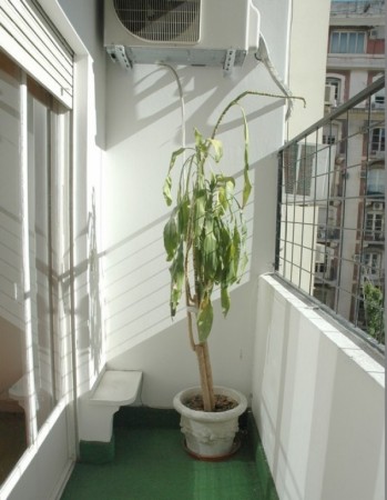 Alquiler Temporario 4 Ambientes, Santa Fe y Callao, Recoleta