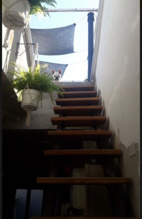 Alquiler Temporario 2 Ambientes c/TERRAZA, Sarmiento 3200, Balvanera