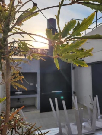 Alquiler Temporario Monoambiente, Olazabal y Triunvirato, 10. Villa Urquiza
