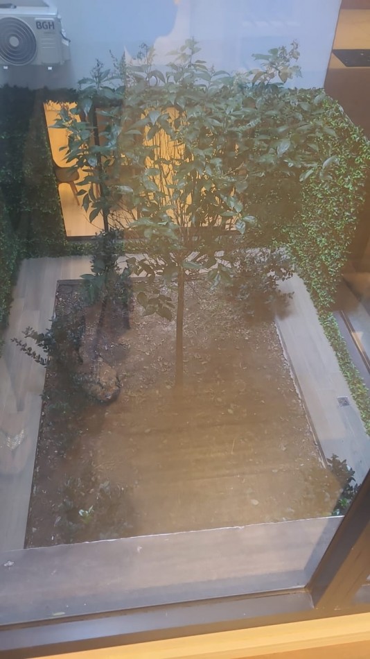 Alquiler Temporario, Monoambiente A ESTRENAR, San Juan 1900, 4